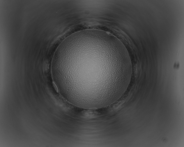 X0000091490372200708301941