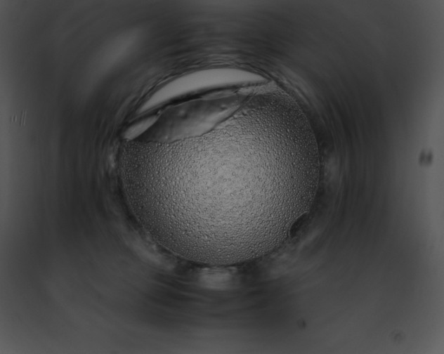 X0000091490373200708301941