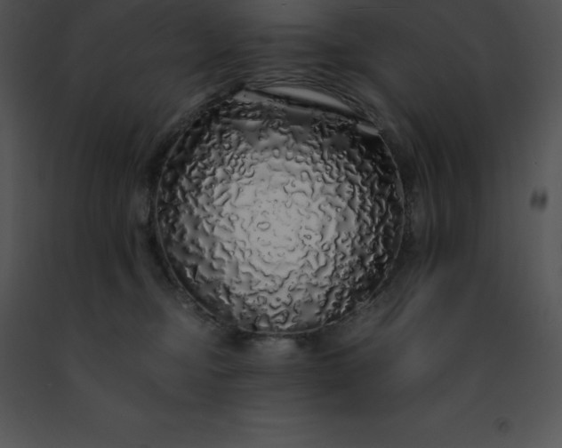 X0000091490374200708301941