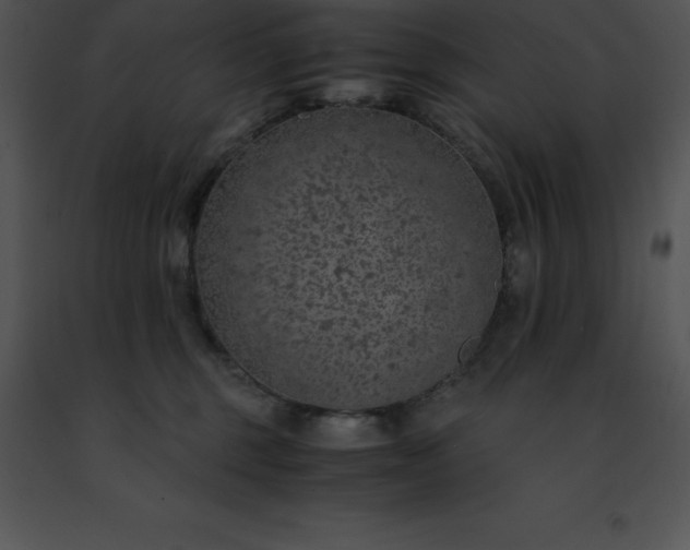 X0000091490375200708301941