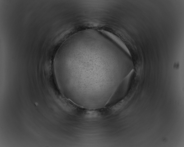 X0000091490376200708301941