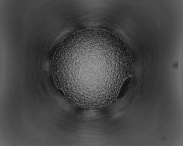 X0000091490378200708301941