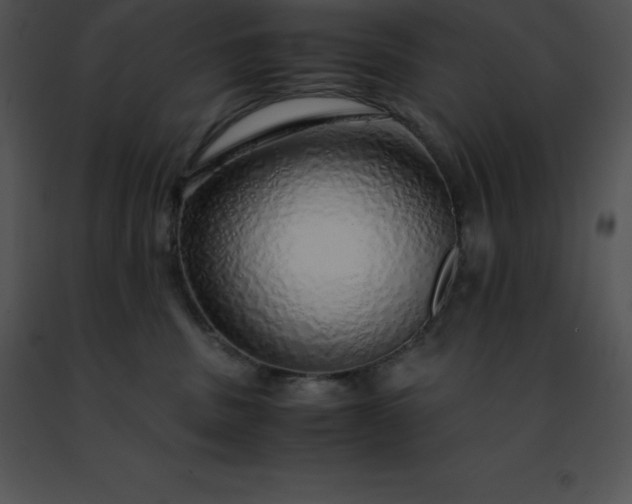 X0000091490379200708301941