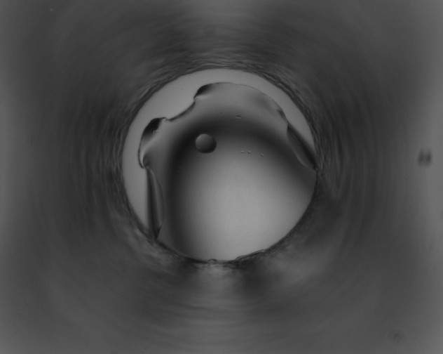 X0000091490380200708301941