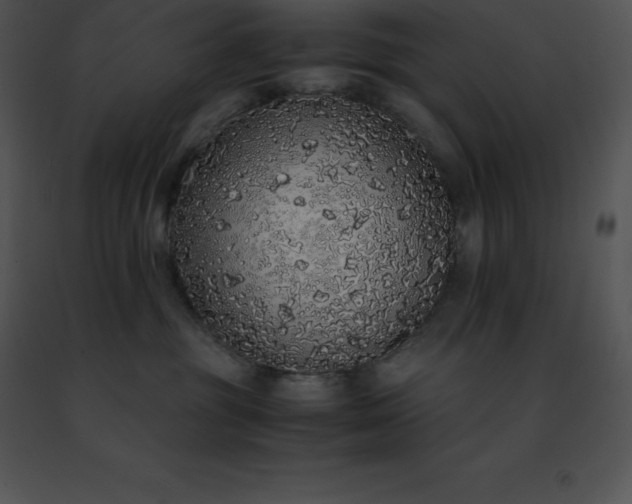 X0000091490381200708301941