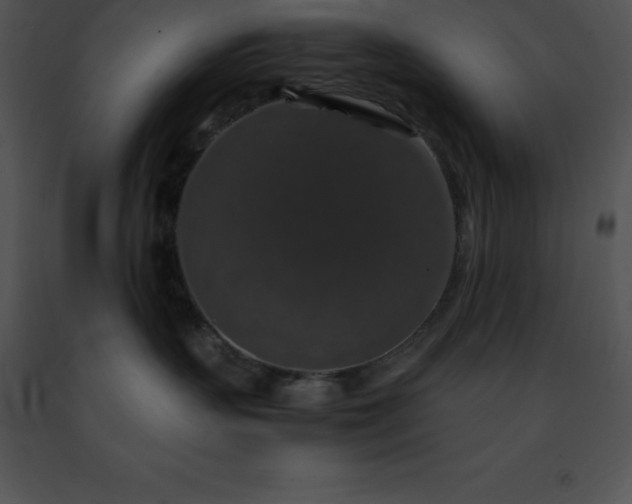 X0000091490383200708301941