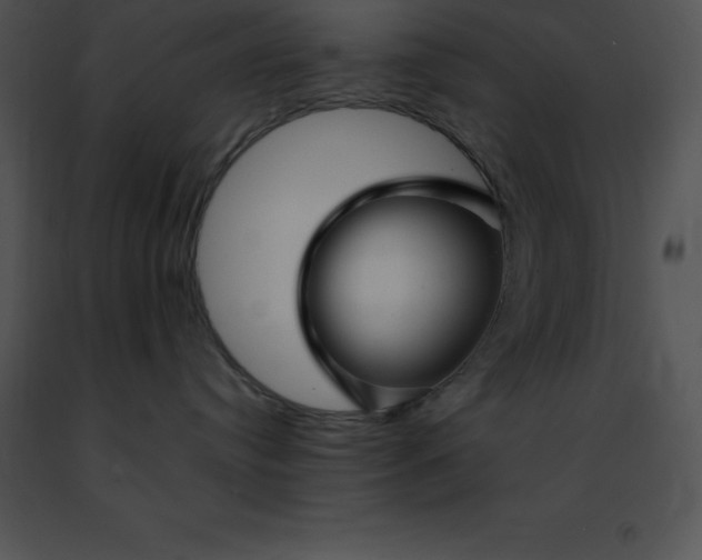 X0000091490384200708301941