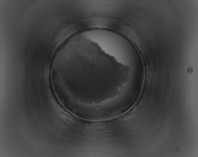 X0000091490386200708301940