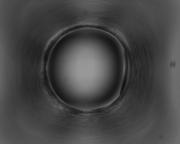 X0000091490388200708301940