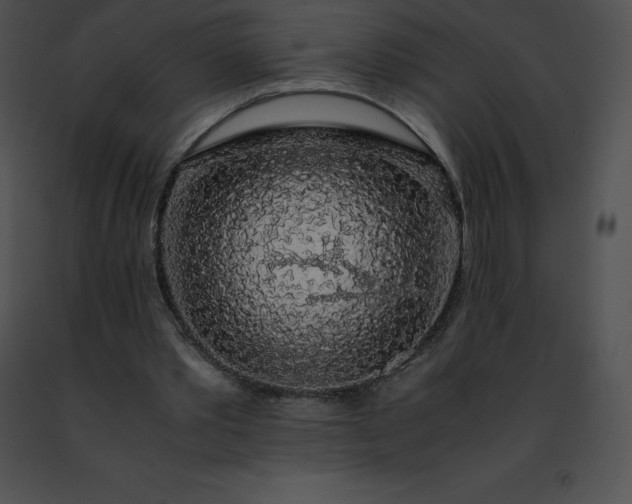 X0000091490389200708301940