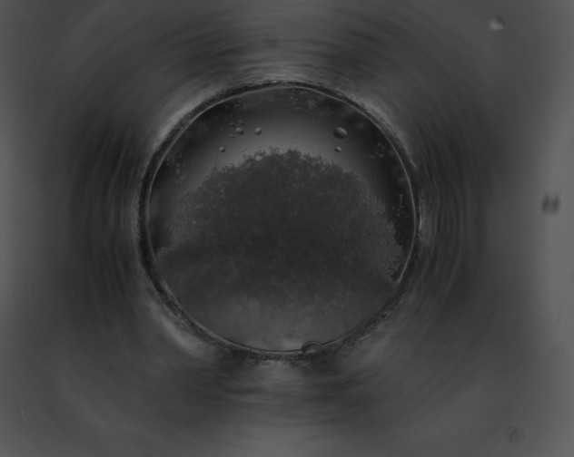 X0000091490390200708301940