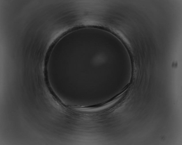 X0000091490391200708301940