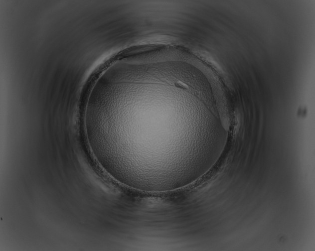 X0000091490392200708301940