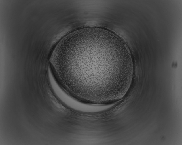 X0000091490393200708301940