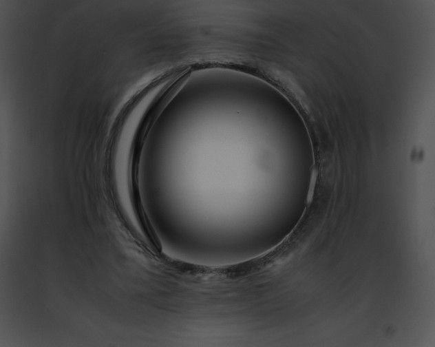 X0000091490395200708301940