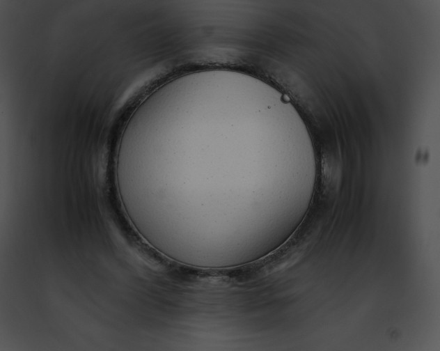 X0000091490396200708301940