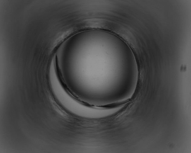 X0000091490397200708301940