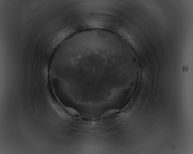 X0000091490398200708301940