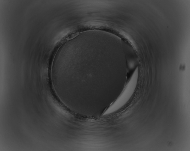 X0000091490399200708301940