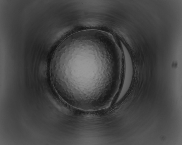 X0000091490400200708301940