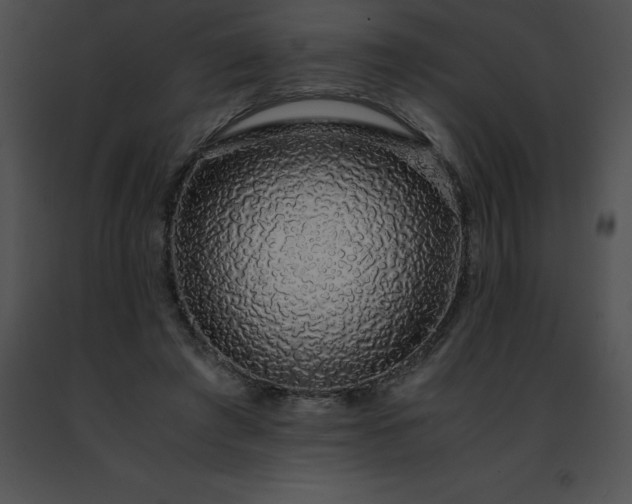 X0000091490401200708301940