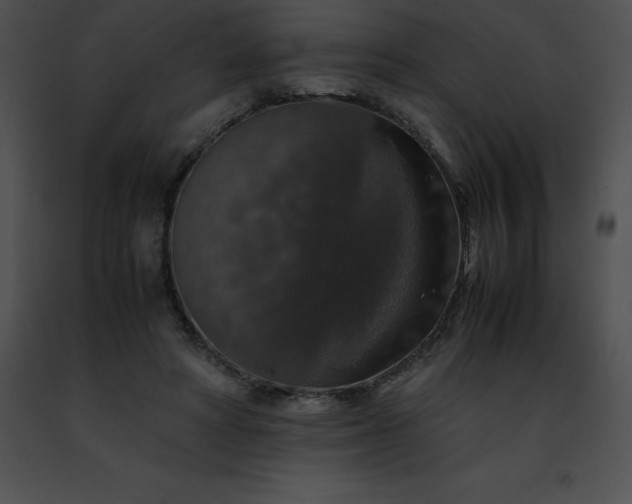 X0000091490402200708301940