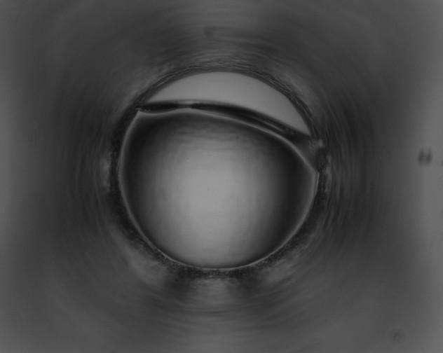 X0000091490404200708301940