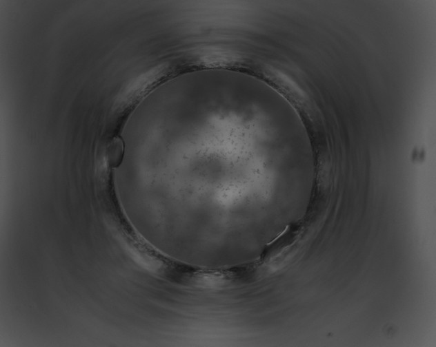 X0000091490405200708301940