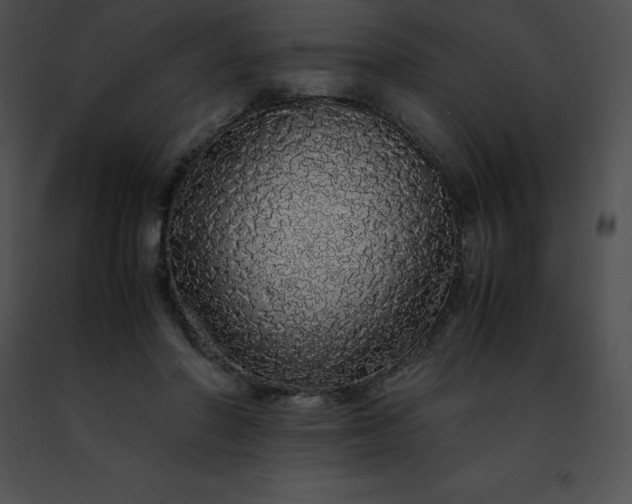 X0000091490406200708301940