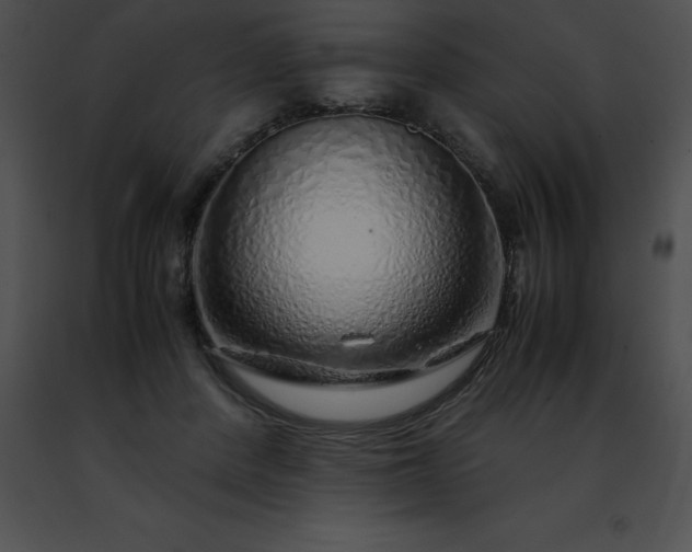 X0000091490408200708301940