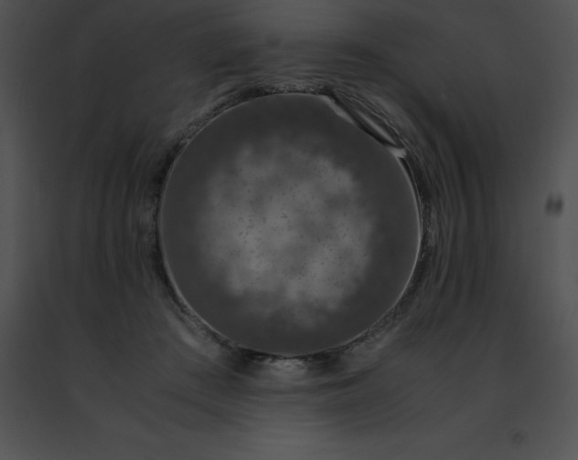 X0000091490409200708301940