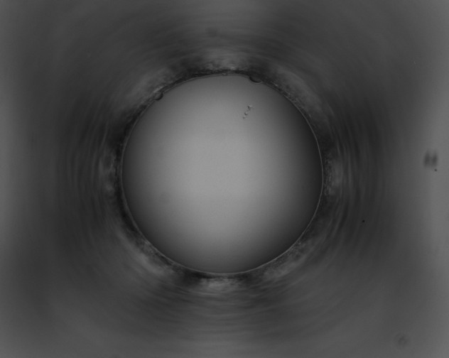 X0000091490414200708301940