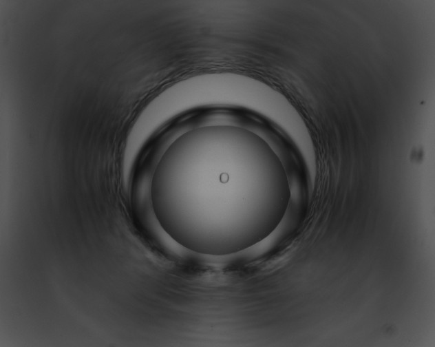 X0000091490416200708301940