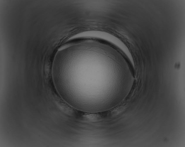 X0000091490417200708301940