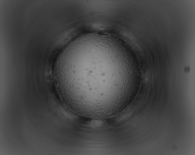 X0000091490418200708301940