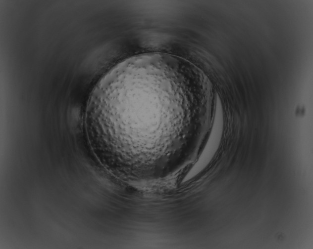 X0000091490420200708301940