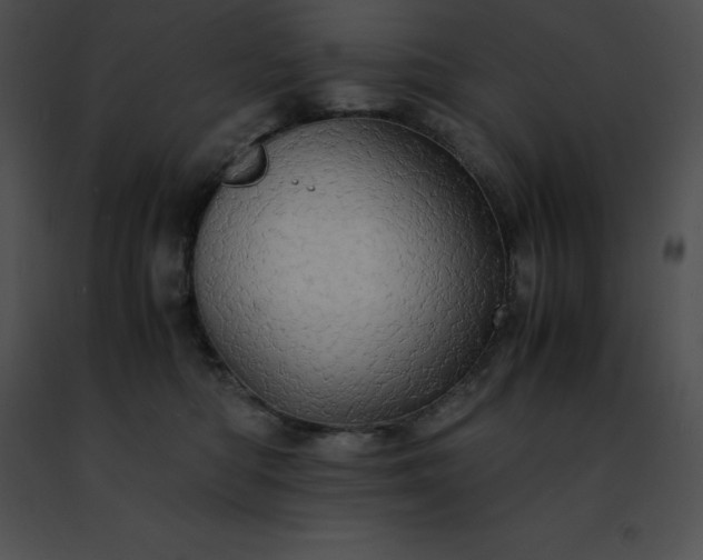 X0000091490422200708301940