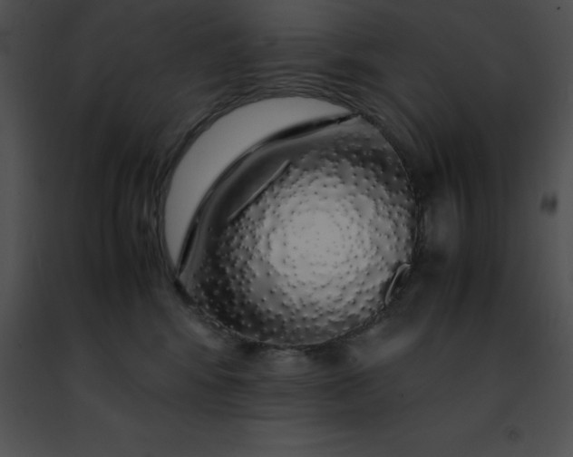 X0000091490424200708301940