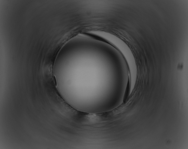 X0000091490425200708301940