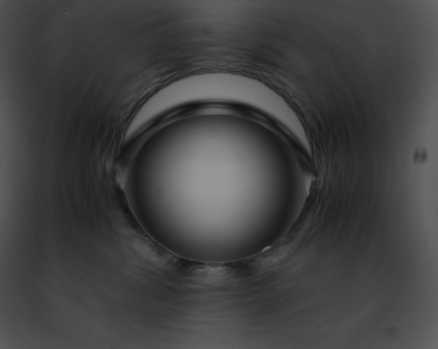 X0000091490428200708301940