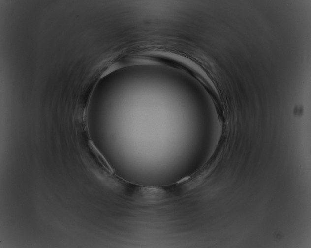 X0000091490429200708301940