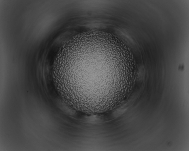 X0000091490430200708301940