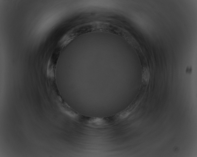 X0000091490431200708301940