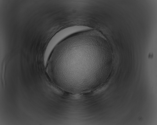 X0000091490432200708301940