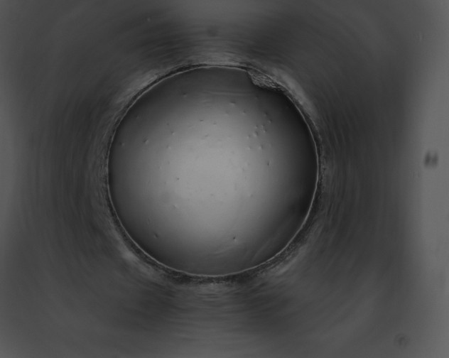 X0000091490433200708301939