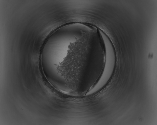 X0000091490434200708301939