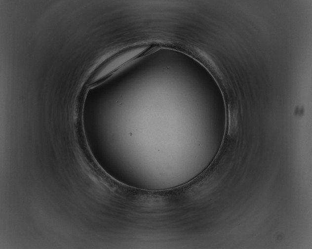 X0000091490435200708301939