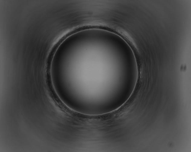 X0000091490436200708301939