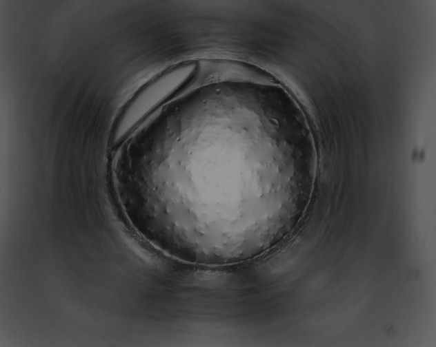 X0000091490437200708301939