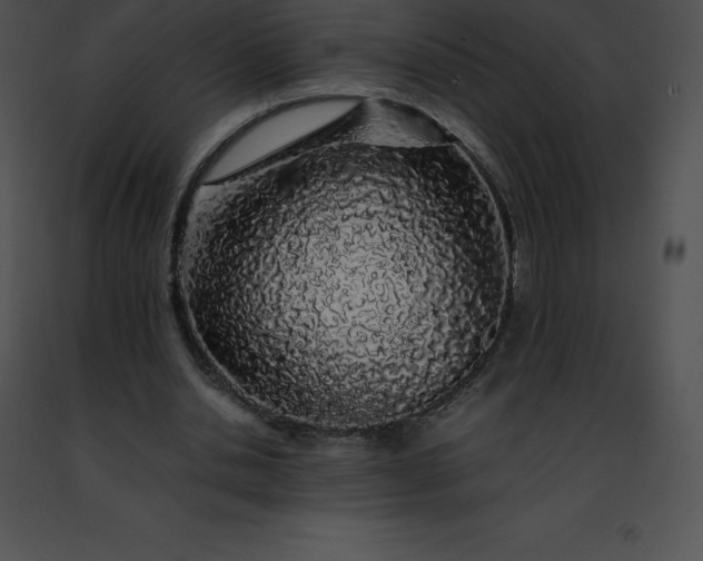 X0000091490438200708301939